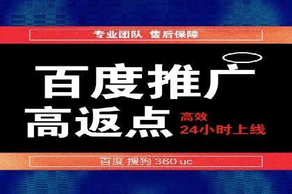 SEM推广策略：成功案例解析